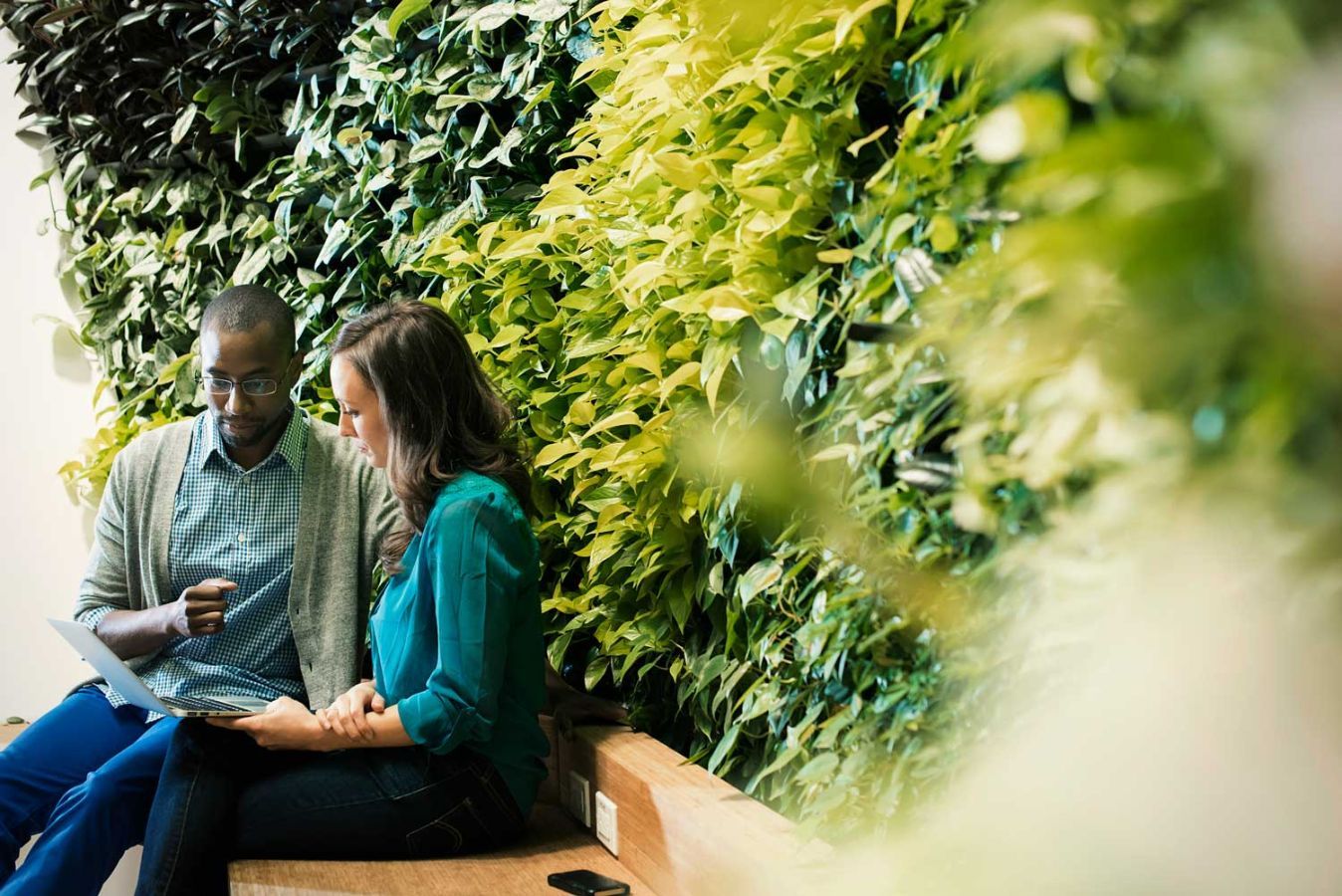 Man and woman looking at a laptop surrounded by greenery